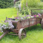 Plantenbak kopen? Hier moet je rekening mee houden! plantenbakken