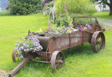 Plantenbak kopen? Hier moet je rekening mee houden! plantenbakken