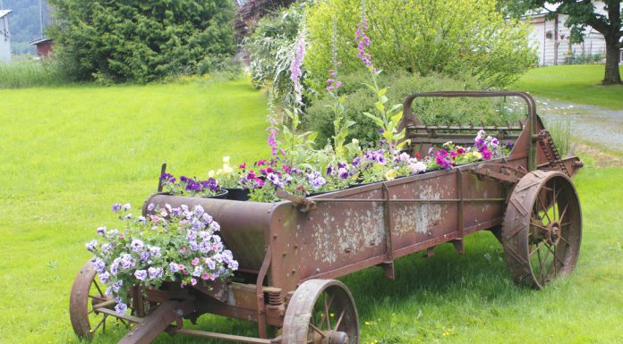 Plantenbak kopen? Hier moet je rekening mee houden! plantenbakken