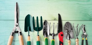 Drie tips om jouw tuingereedschap te onderhouden! tuingereedschap onderhoud
