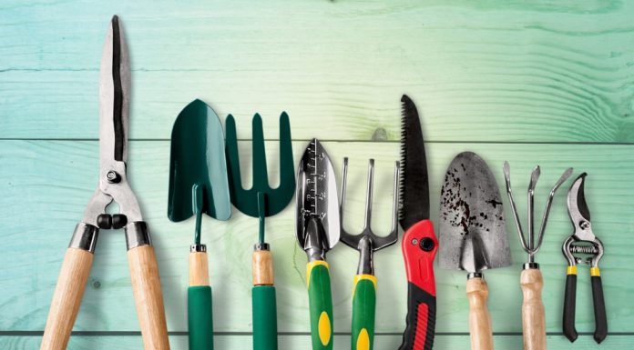 Drie tips om jouw tuingereedschap te onderhouden! tuingereedschap onderhoud