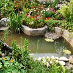 Vijver schoonmaken? Zo pak je dat aan! vijveronderhoud