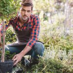 Makkelijk en snel een struik planten? Gebruik dit stappenplan! struik aanplanten