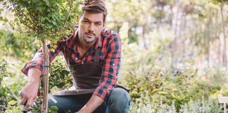 Makkelijk en snel een struik planten? Gebruik dit stappenplan! struik aanplanten