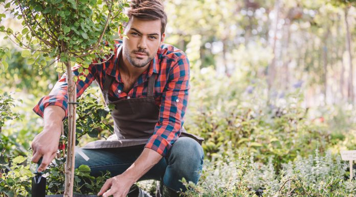 Makkelijk en snel een struik planten? Gebruik dit stappenplan! struik aanplanten