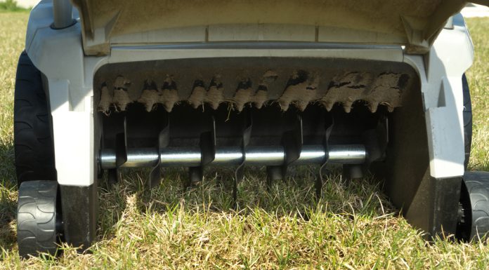 Verticuteer jouw gazon in het voorjaar! gras verticuteren