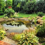 Wel of geen luchtpomp in mijn vijver? vijver