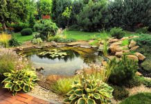 Wel of geen luchtpomp in mijn vijver? vijver