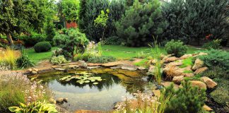 Wel of geen luchtpomp in mijn vijver? vijver