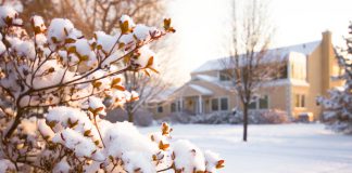 Zo bescherm je jouw tuin tegen de winterse kou! tuin in de winter