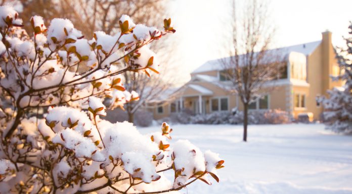 Zo bescherm je jouw tuin tegen de winterse kou! tuin in de winter