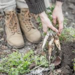 Zo begin je met een moestuin! moestuin starten