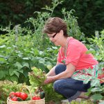 Groente kweken in een kleine tuin? Zo doe je dat? groentetuin tips