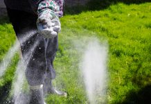 Stappenplan voor het onderhouden van jouw gazon! gazon kal strooien