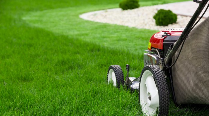 Een perfect gazon dankzij deze maaitips! gras maaien tips