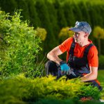 Stappenplan voor tuininrichting tuininrichting door tuinman