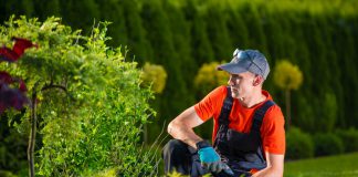 Stappenplan voor tuininrichting tuininrichting door tuinman