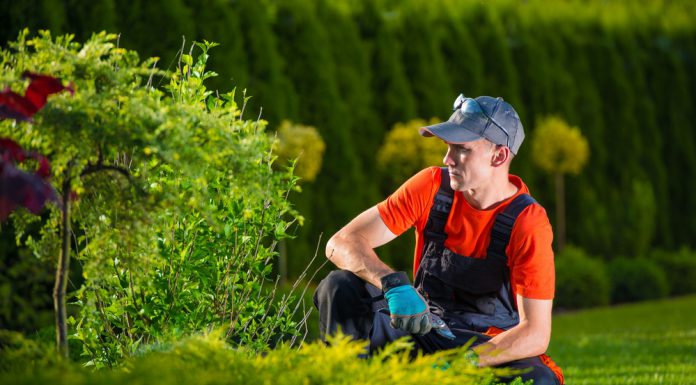 Stappenplan voor tuininrichting tuininrichting door tuinman
