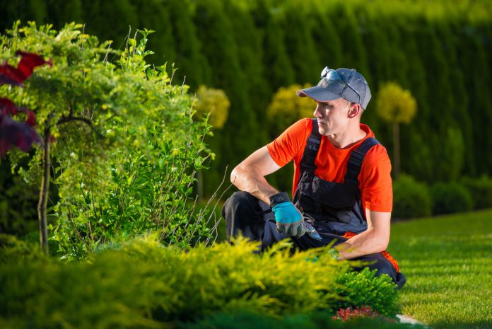 tuininrichting door tuinman