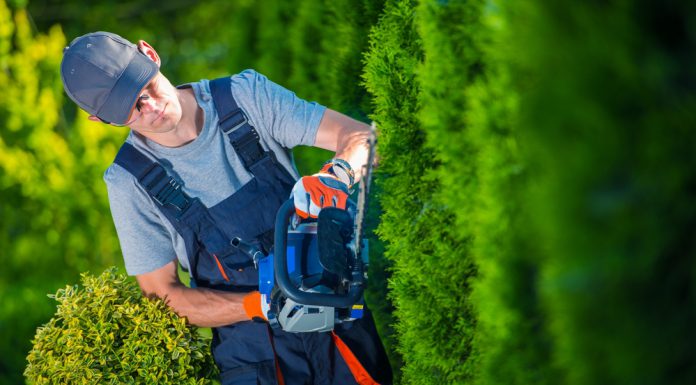 Alles wat je moet weten over hagen snoeien! man die heg aan het snoeien is