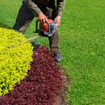 Zo wordt het snoeien van jouw tuin kinderspel! tuin snoeien met heggenschaar
