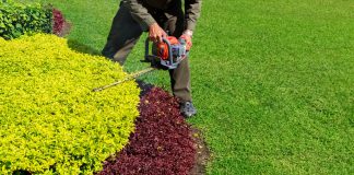 Zo wordt het snoeien van jouw tuin kinderspel! tuin snoeien met heggenschaar