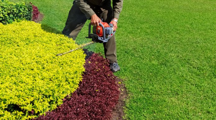 Zo wordt het snoeien van jouw tuin kinderspel! tuin snoeien met heggenschaar