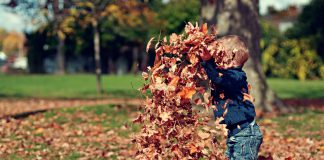 Drie tips om jouw tuin winterklaar te maken! jongetje speelt met blaadjes in tuin