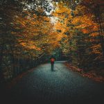 Wat is de invloed van de verschillende seizoenen op jouw tuin? herfst tuin