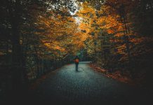 Wat is de invloed van de verschillende seizoenen op jouw tuin? herfst tuin