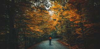 Wat is de invloed van de verschillende seizoenen op jouw tuin? herfst tuin