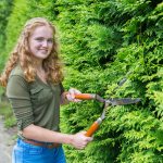 Coniferen in jouw tuin? Dit moet je weten! coniferen