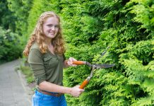 Coniferen in jouw tuin? Dit moet je weten! coniferen