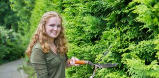 Coniferen in jouw tuin? Dit moet je weten! coniferen