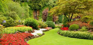 Een kleurrijke tuin? Kies voor deze planten! kleurrijke tuin