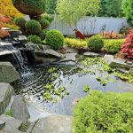 Alles wat je moet weten over een vijvernet vijvernetten