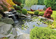 Alles wat je moet weten over een vijvernet vijvernetten