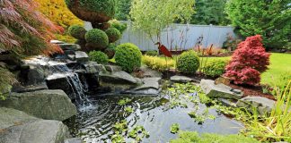 Alles wat je moet weten over een vijvernet vijvernetten