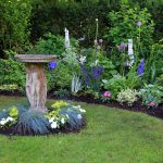 Vijf onderhoudsarme, vaste planten voor in jouw tuin! vaste planten tuin