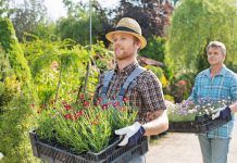 Tuin financieren – Tips om geld te lenen voor de aanleg van jouw tuin geld lenen tuinaanleg