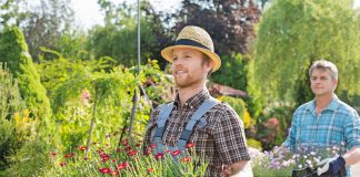 Tuin financieren – Tips om geld te lenen voor de aanleg van jouw tuin geld lenen tuinaanleg