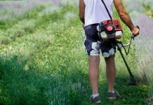 Zo gebruik je de bosmaaier optimaal Bosmaaier