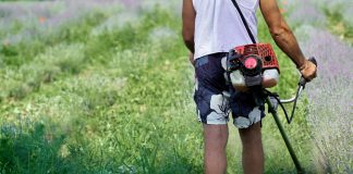 Zo gebruik je de bosmaaier optimaal Bosmaaier