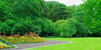 De tuin een opknapbeurt geven vergroot de tuin
