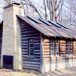 Tiny houses blokhut in het bos