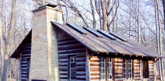 Tiny houses blokhut in het bos