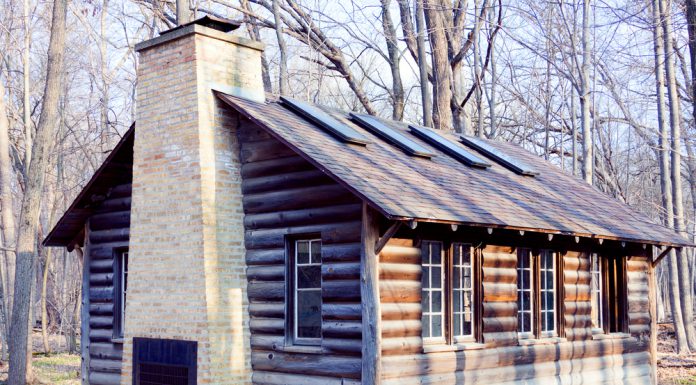 Tiny houses blokhut in het bos