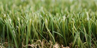 Altijd groen gras kunstgras altijd groen