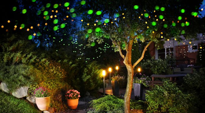 5 Tips: zo creëer je een bohemian walhalla bohemian tuin