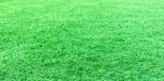 Kunstgras leggen voor beginners kunstgras